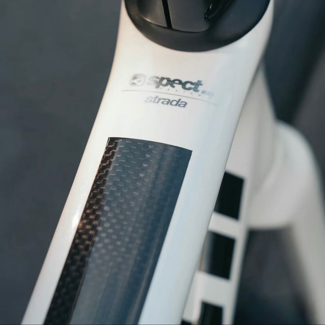 Spect Strada